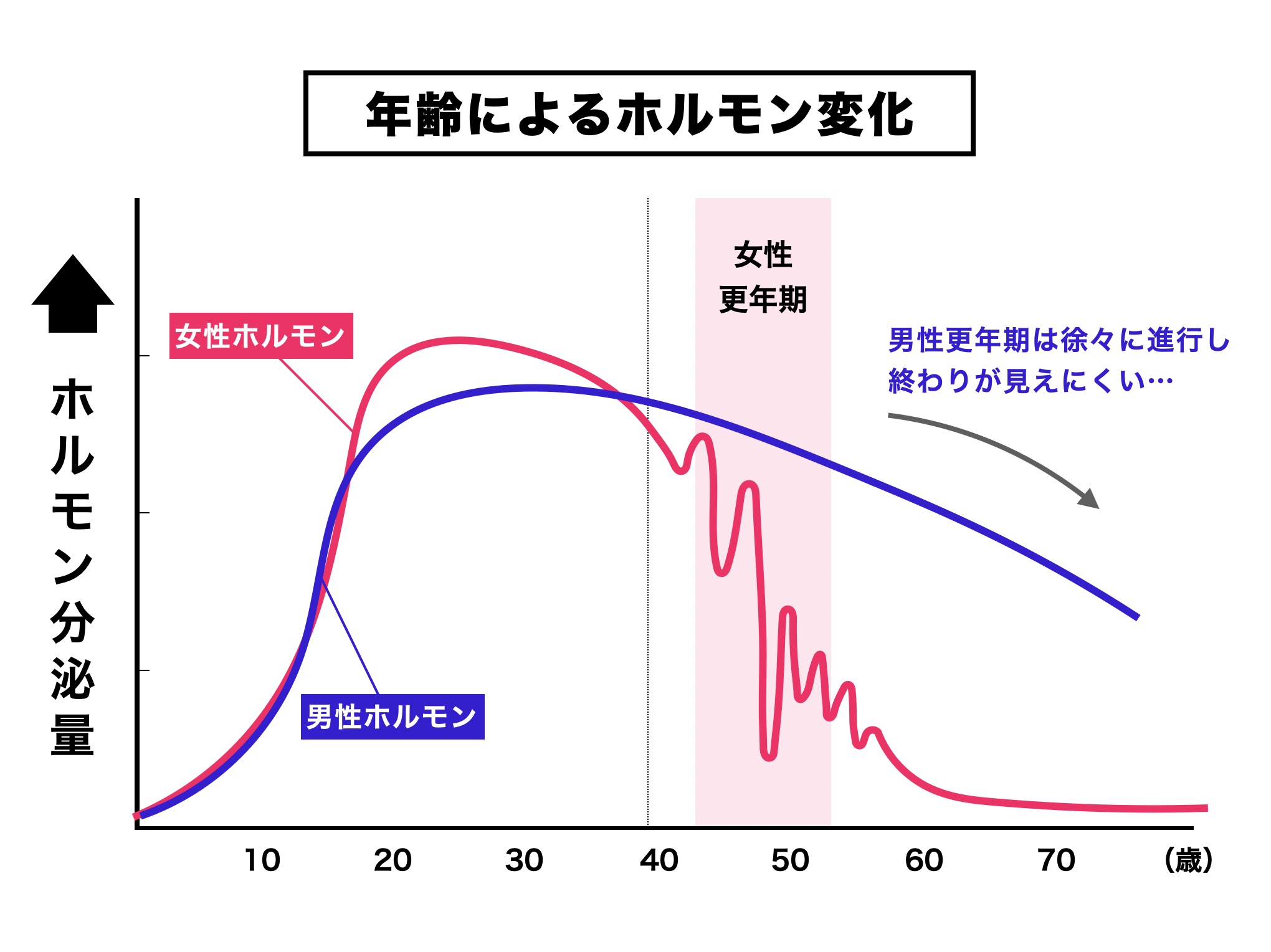 男性更年期と女性更年期の性ホルモン変化