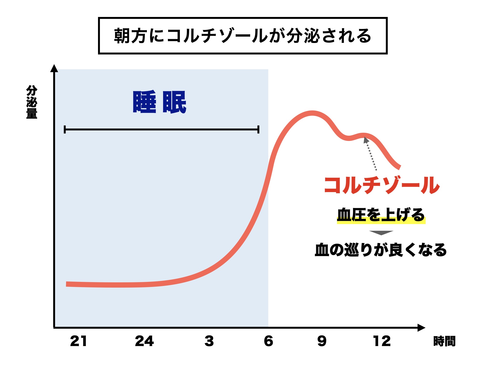 男性更年期はコルチゾールの分泌が乱れ睡眠不足に