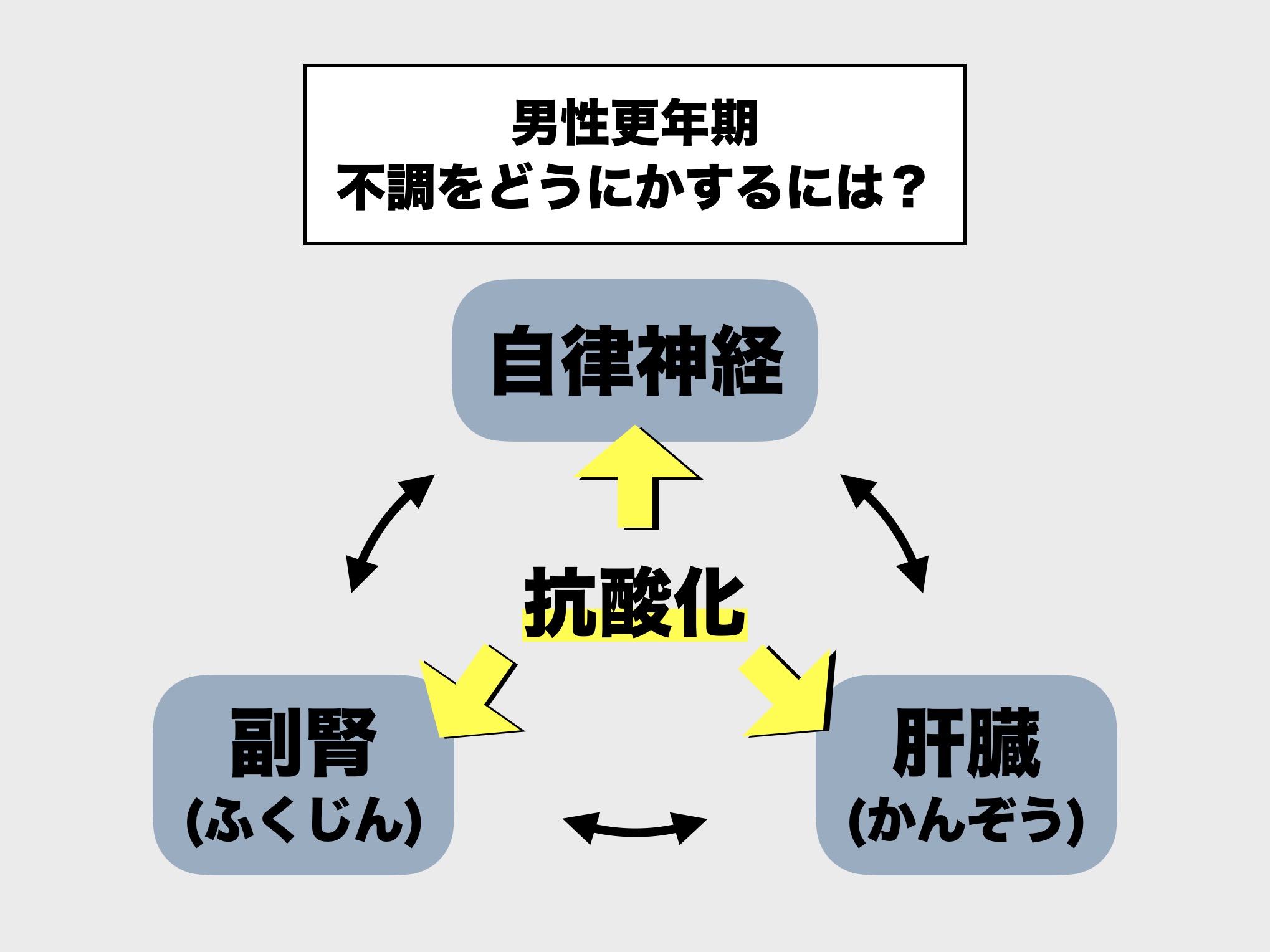 男性は酸化による不調が増える