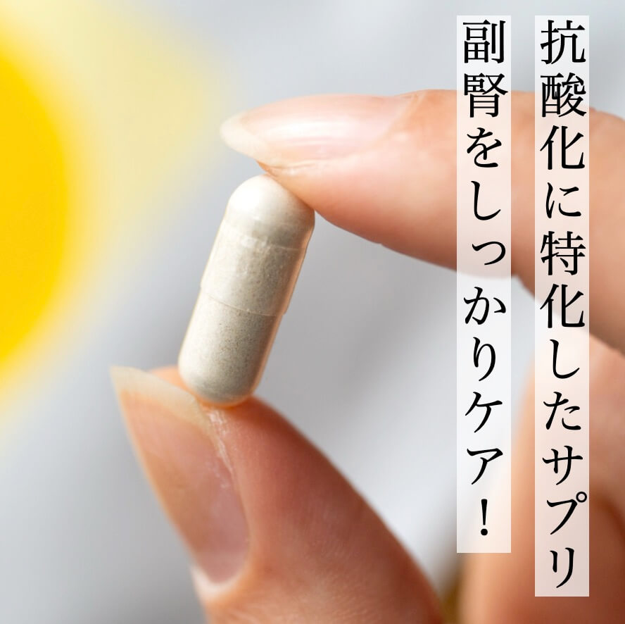 抗酸化に特化したサプリメントこうさんかのかわりのイメージ