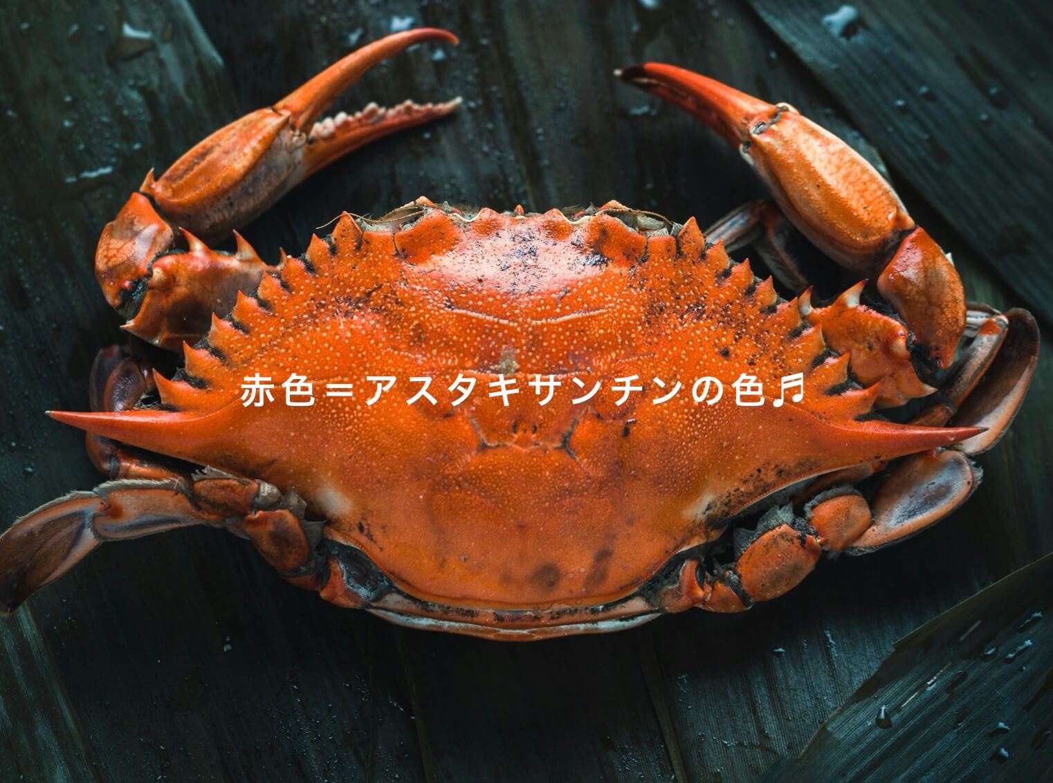 アスタキサンチンが多く含まれるカニの写真