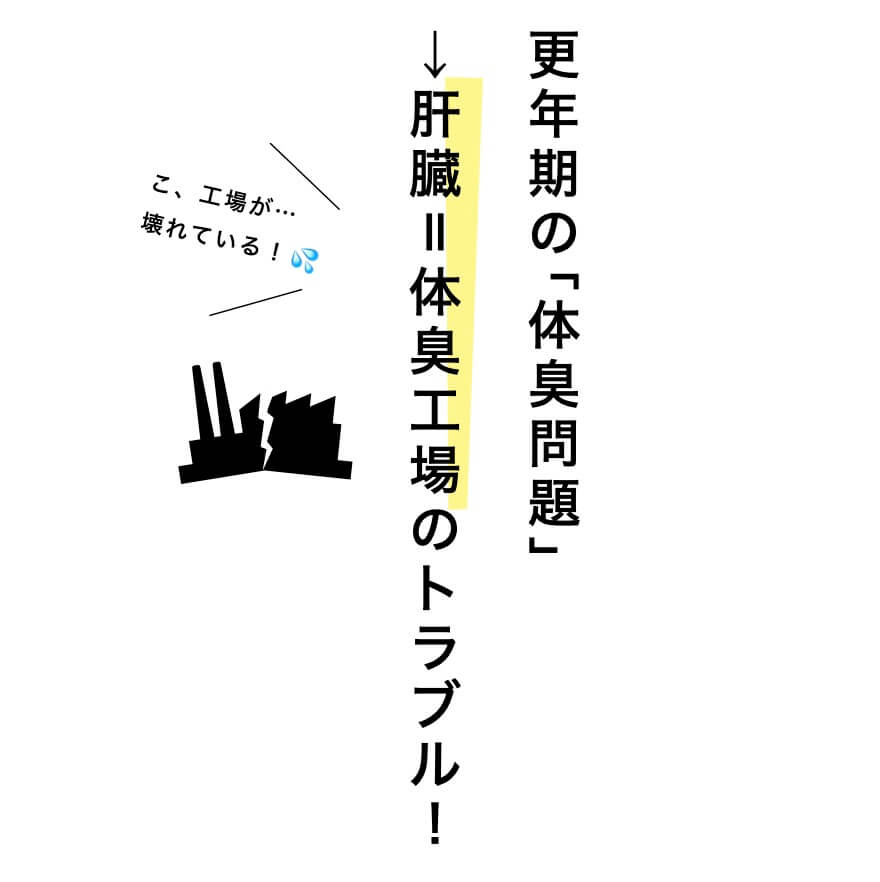 夏の紫外線は体の中が急速に老化する