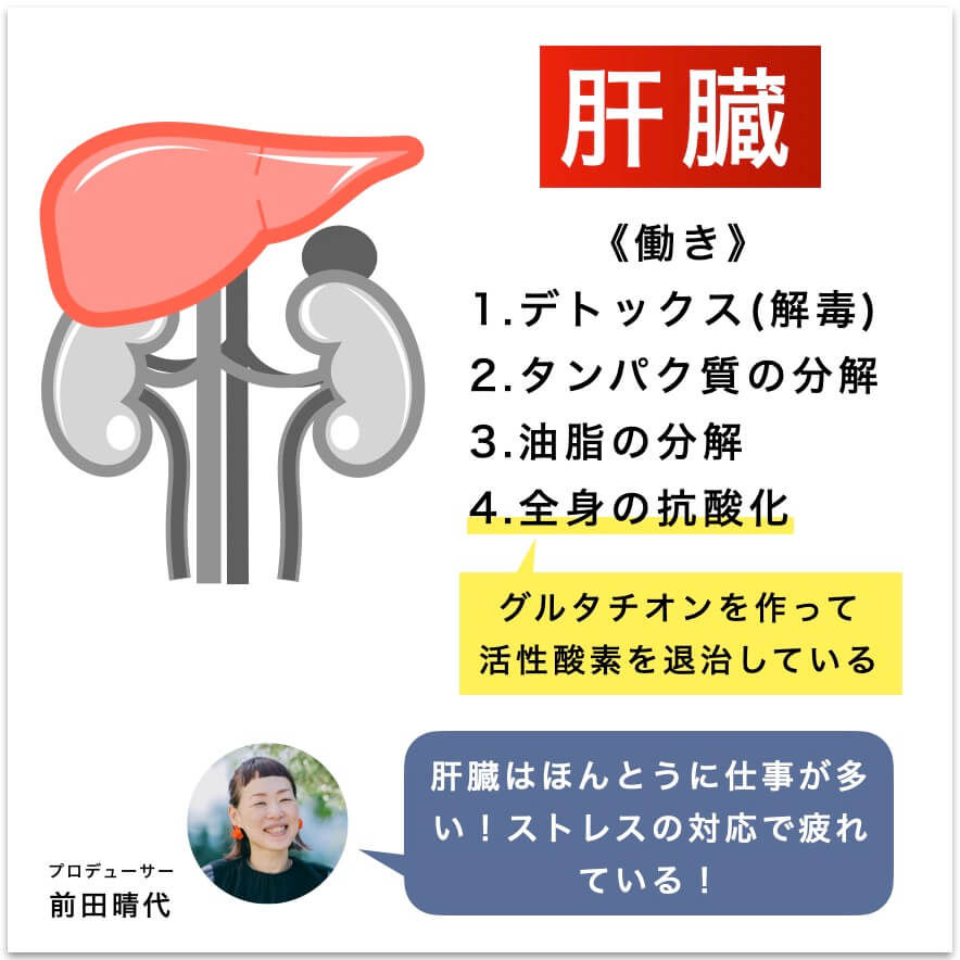 肝臓がストレスの対応で疲れている図