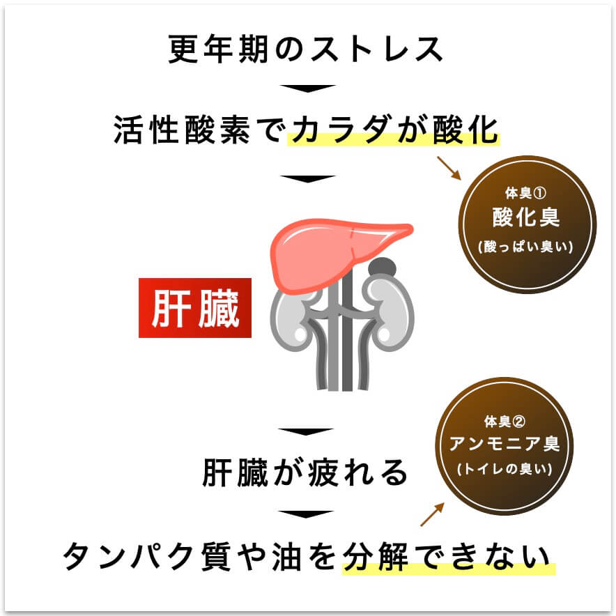 更年期のストレスが体臭につながる図