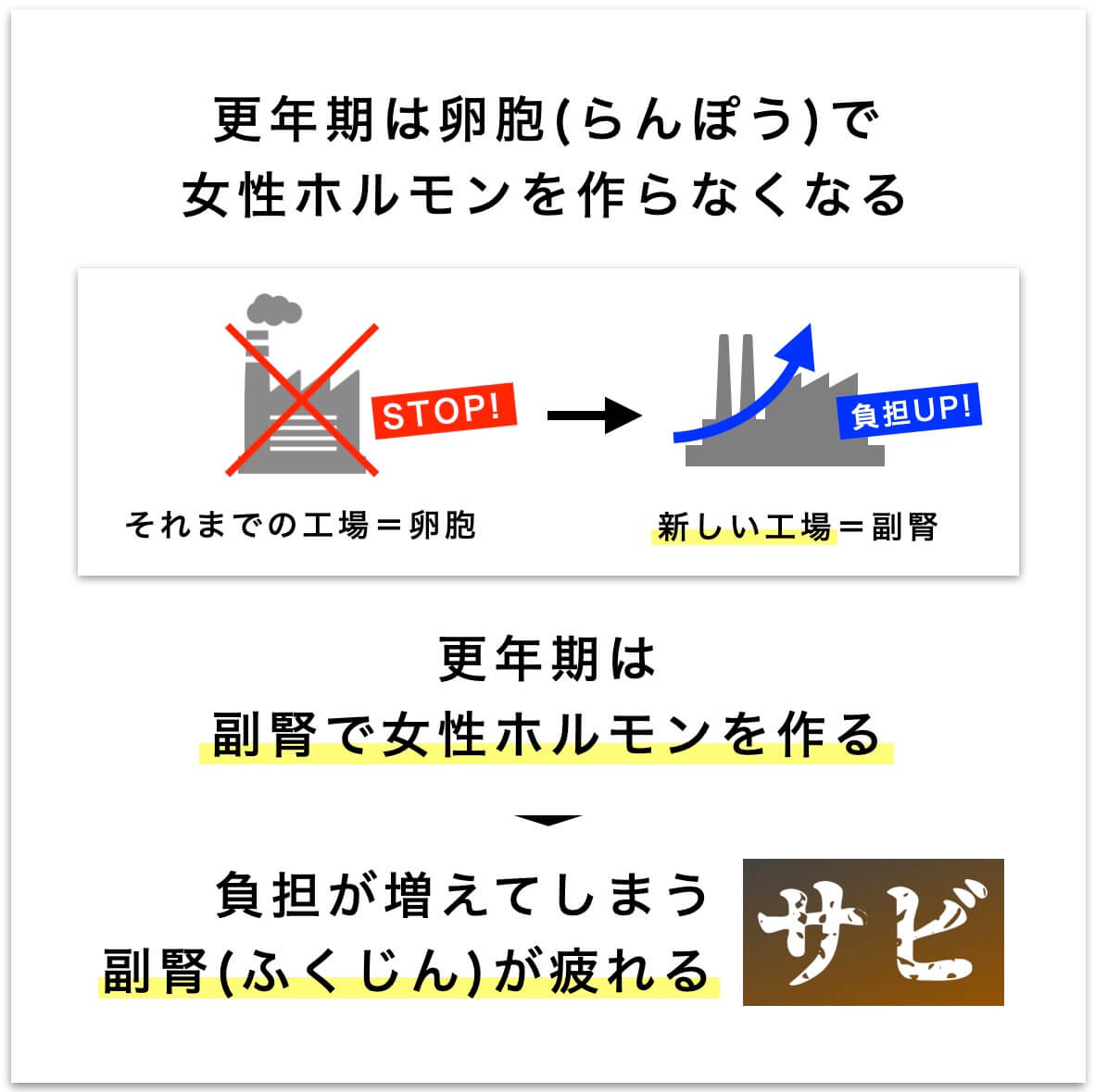 更年期は副腎で女性ホルモンを作る