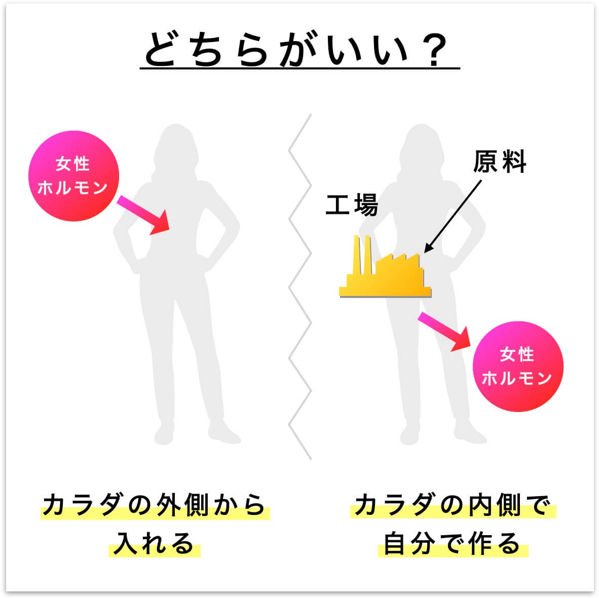 女性ホルモンをどのように製造するのがいいか問いかける図