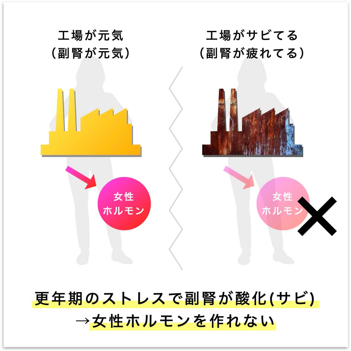 副腎が酸化すると女性ホルモンを製造できない