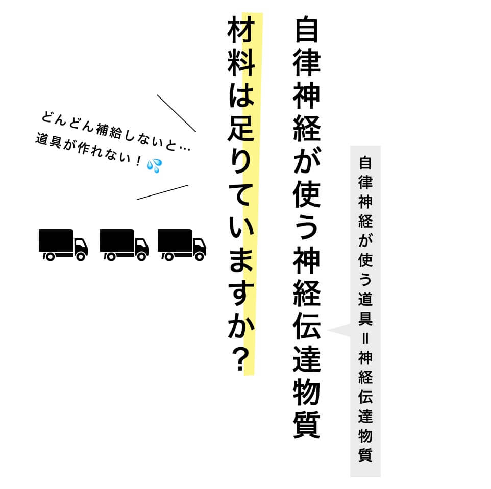 自律神経の説明