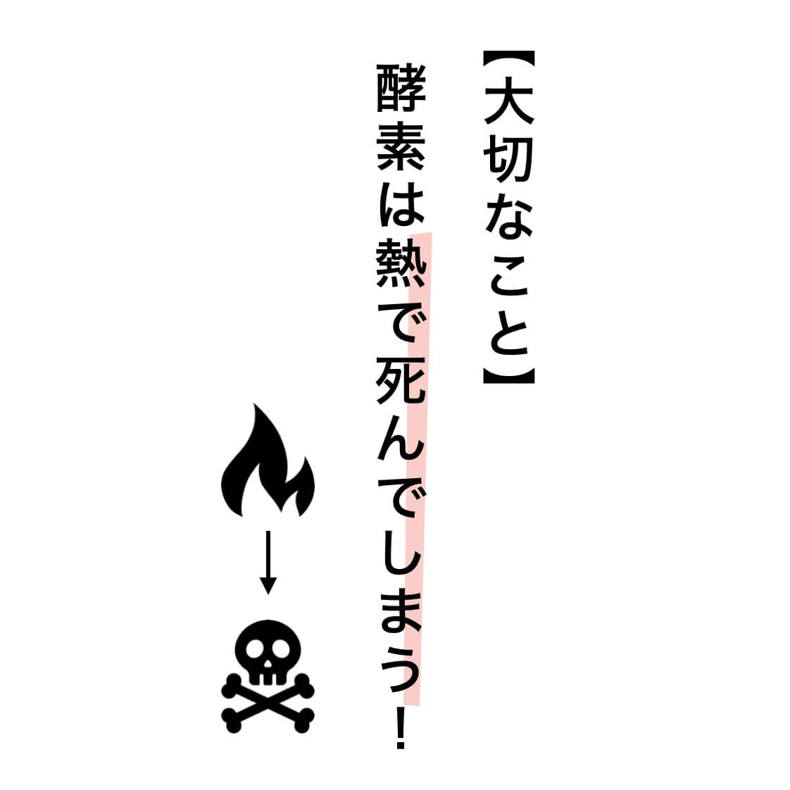 酵素消化サプリ なまやさいのかわり定期便 |《公式》更年期専門店オア