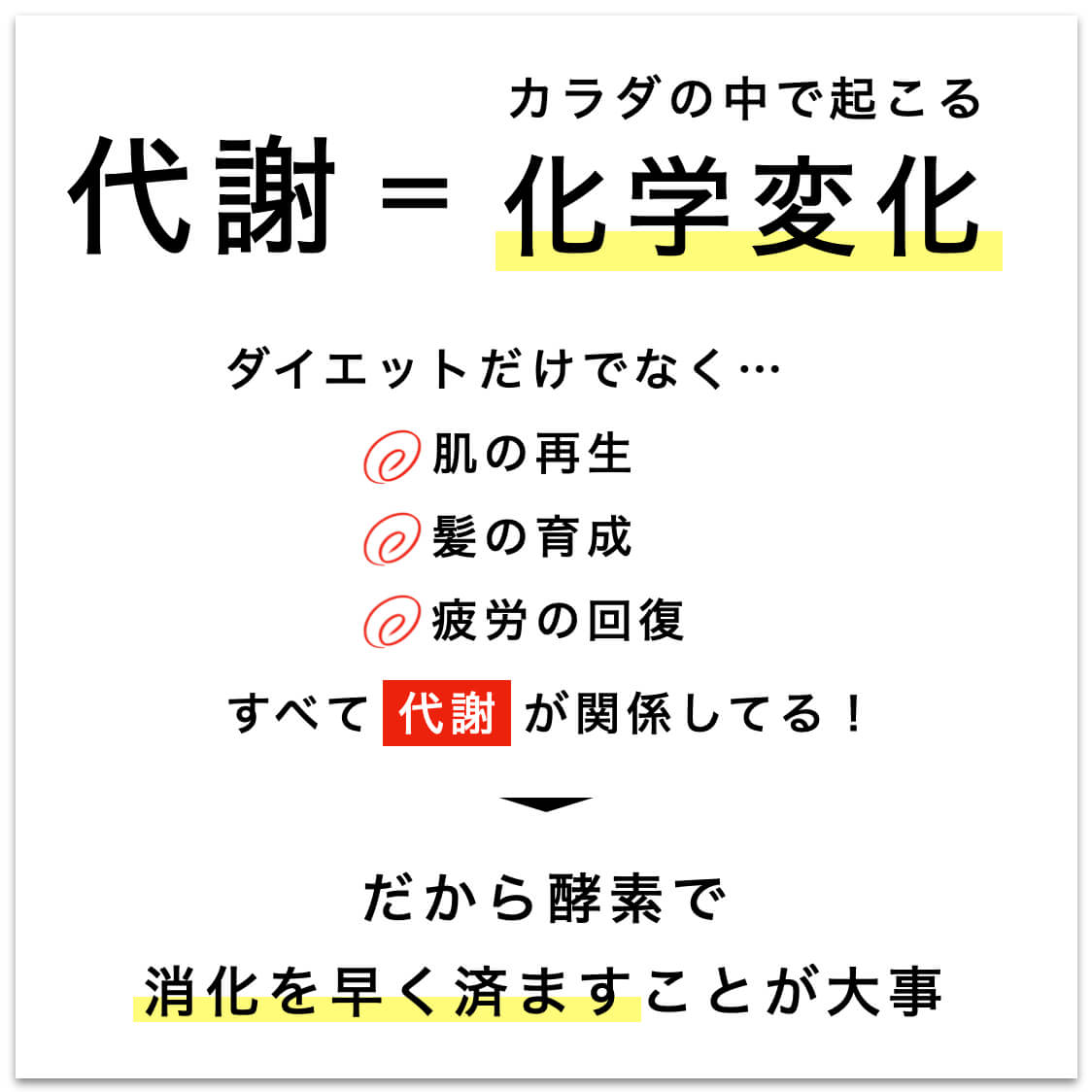 代謝はカラダの中で起こる化学変化