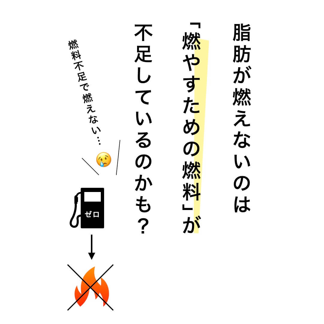 脂肪が燃えないのは「燃やすための燃料」が不足？
