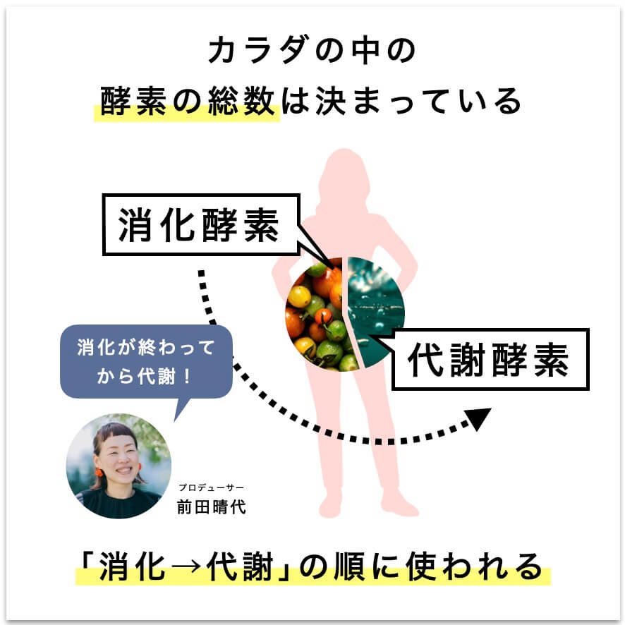 体内の酵素の説明の図