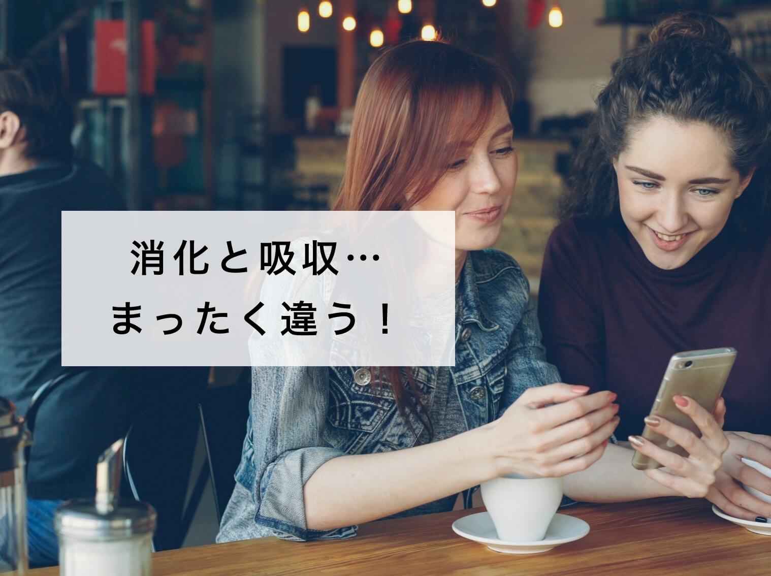 消化と吸収の違いについて知る更年期女性