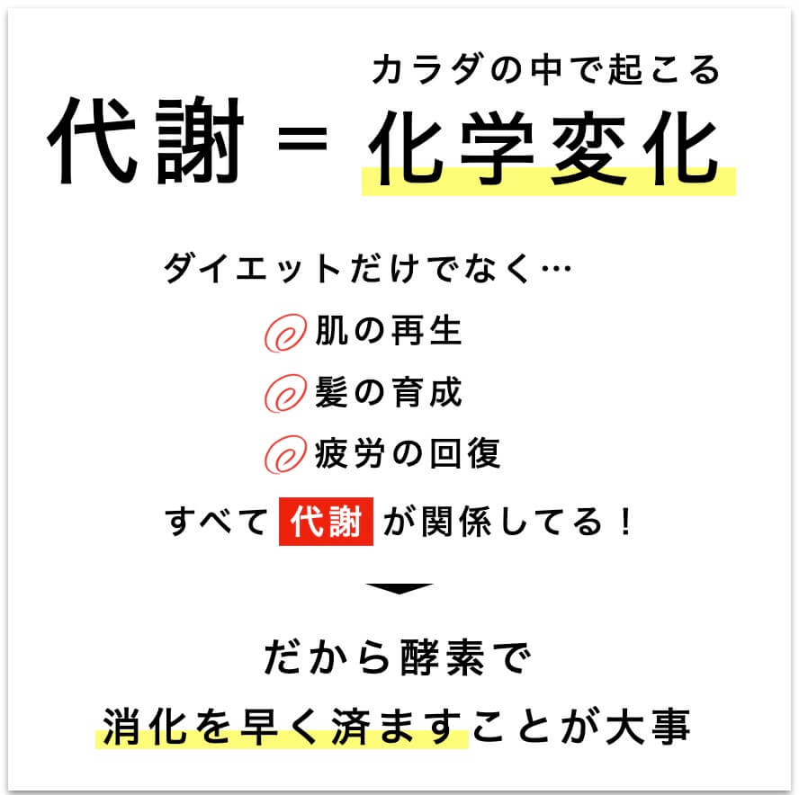 代謝はカラダの中で起こる化学変化