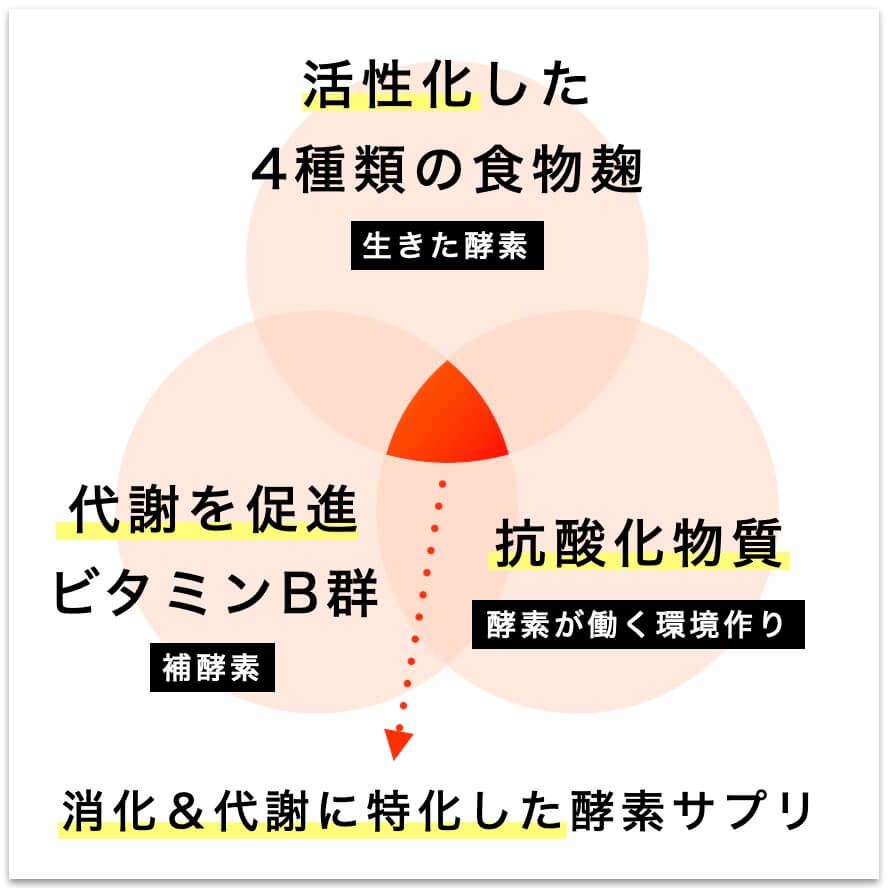 消化、代謝に特化したオアディスワンの消化酵素サプリ