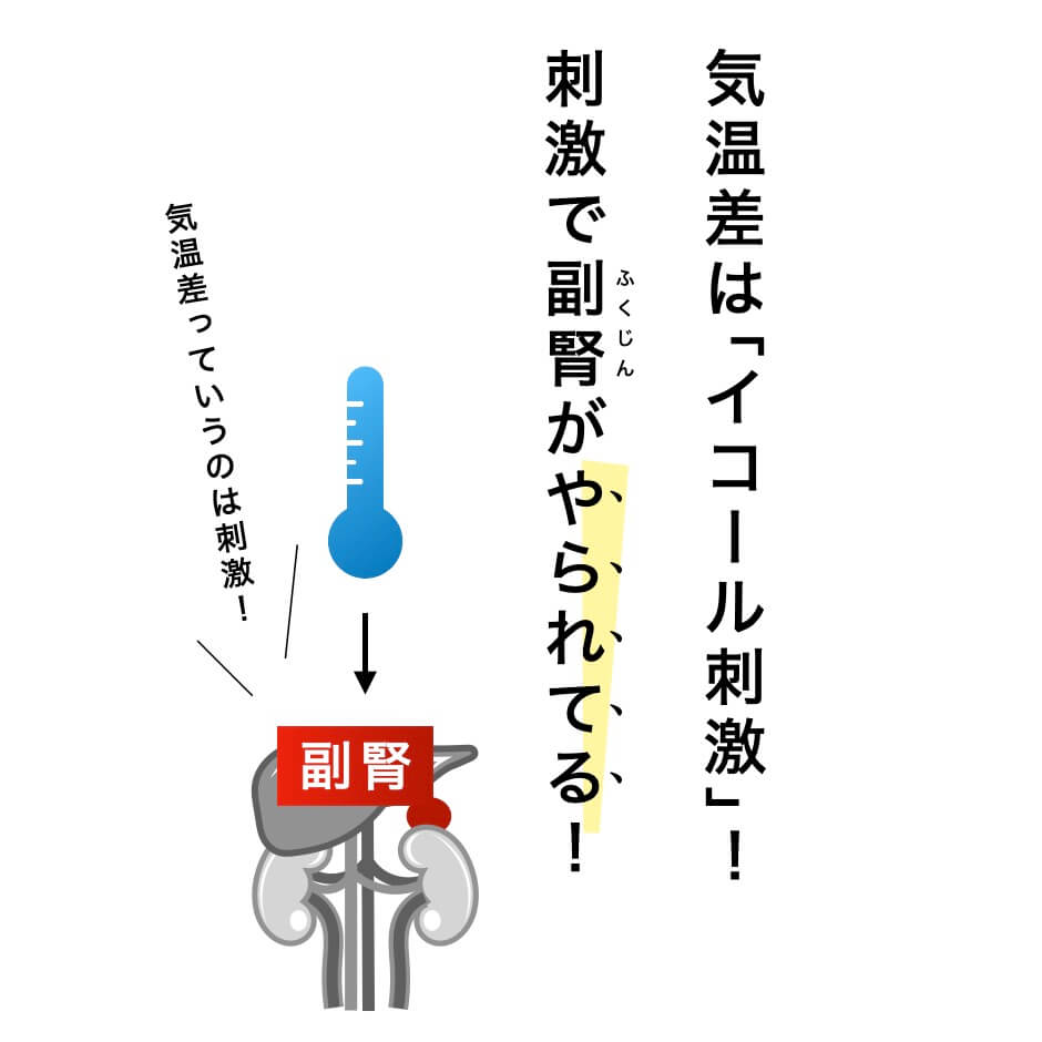 気温差で副腎がやられている図