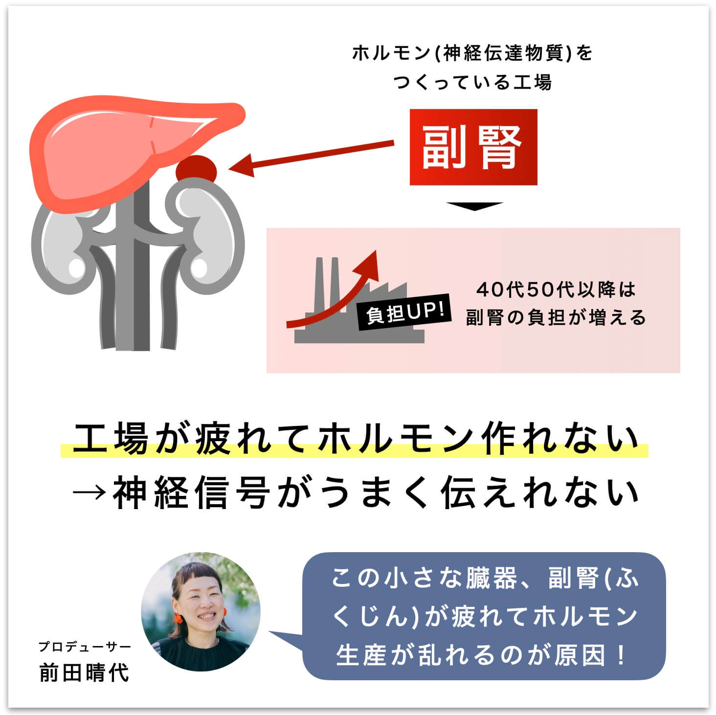 副腎の疲れによって寒暖差疲労がひどい