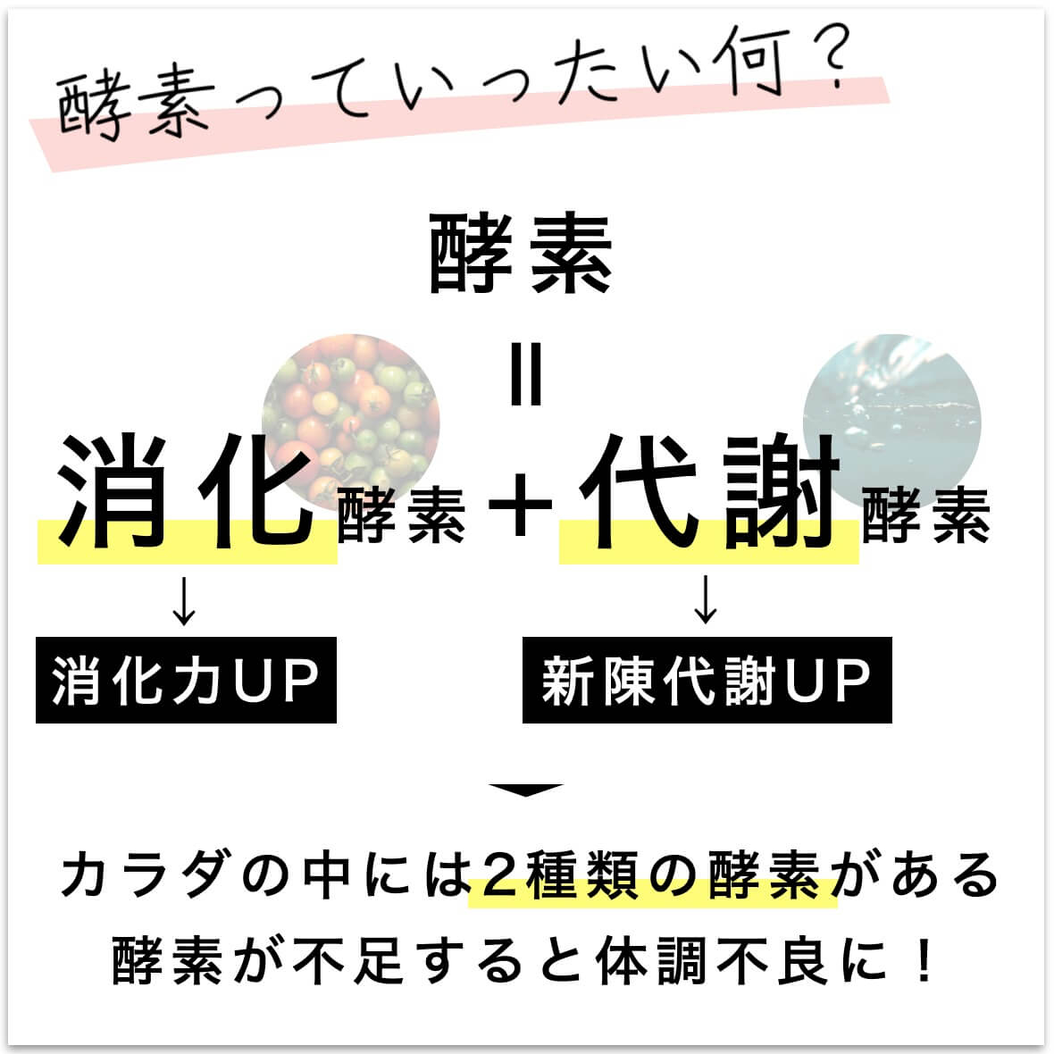 2種類の酵素があることを説明する図