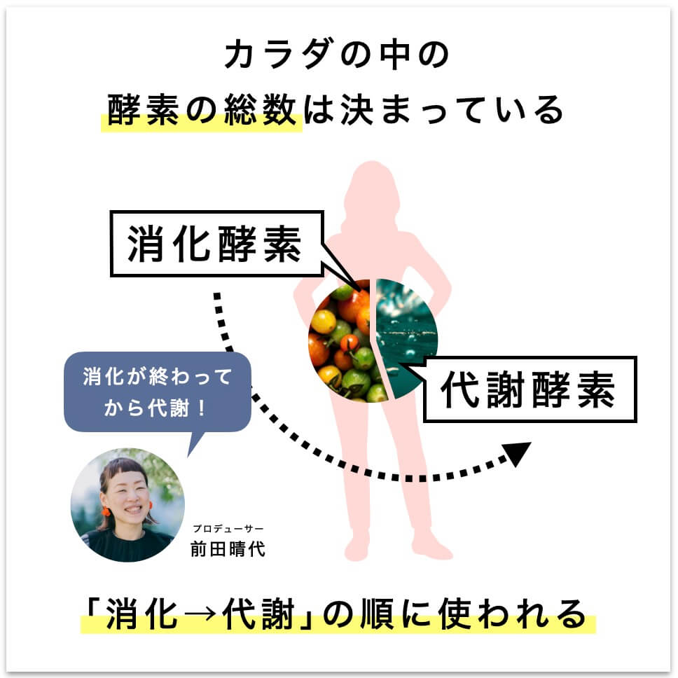 酵素は消化、代謝の順に使われる