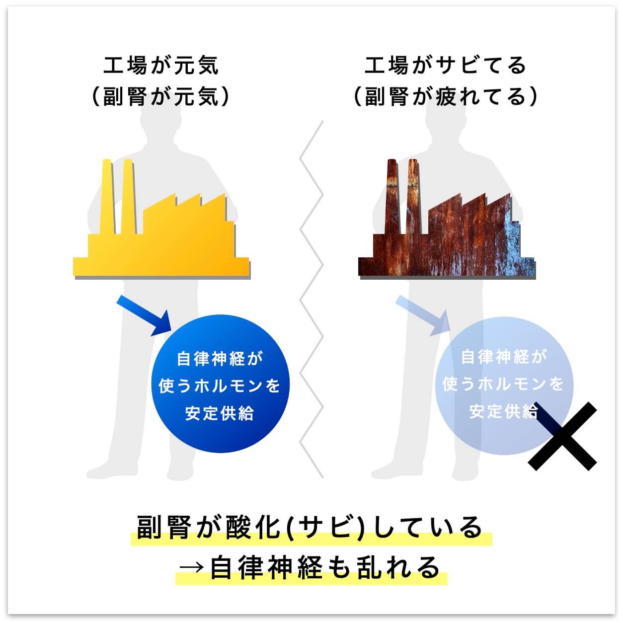 副腎が酸化していると、自律神経も乱れる