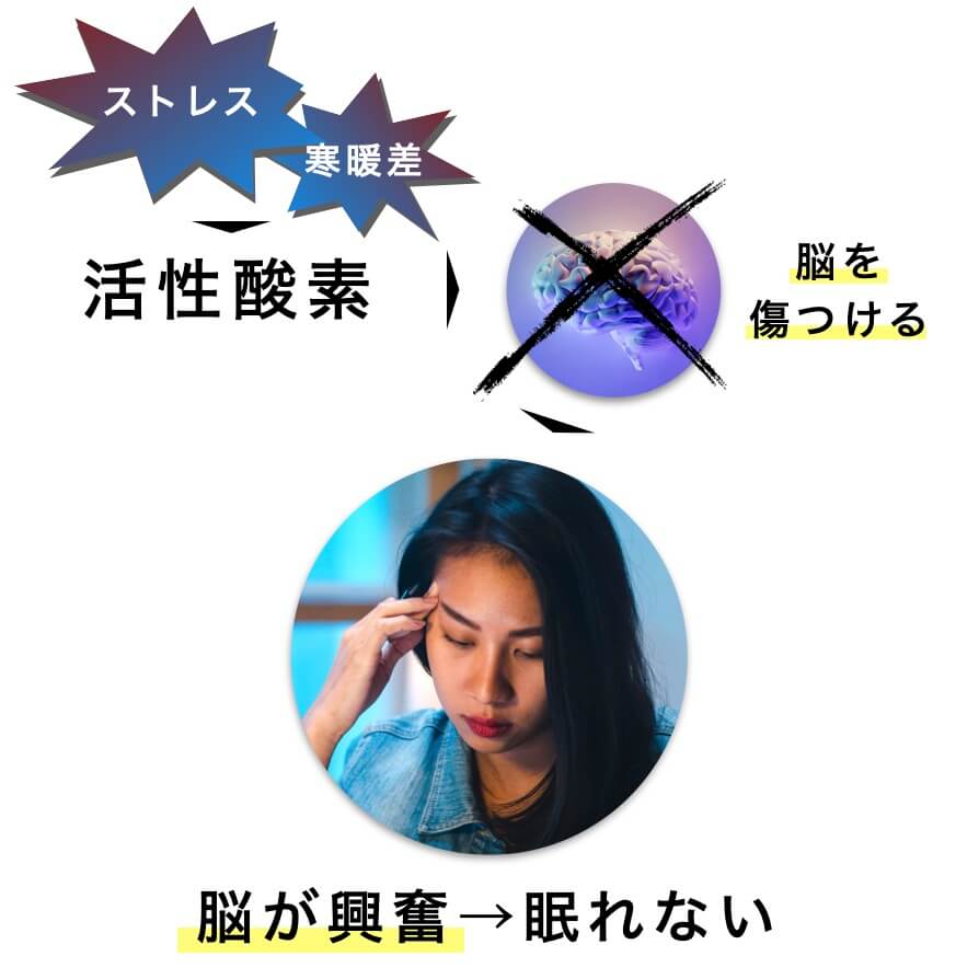活性酸素が脳を傷つけ興奮状態になり眠れない