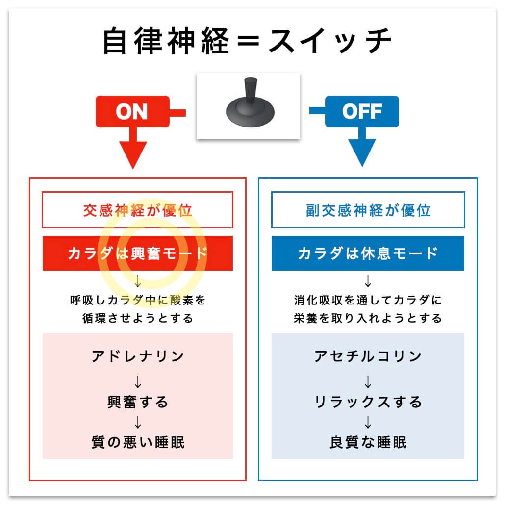 自律神経は交感神経と副交感神経の切り替えスイッチ
