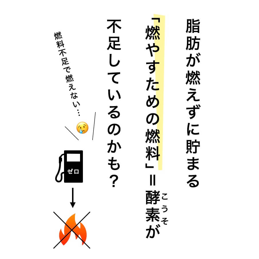 燃やすための燃料＝酵素が不足？