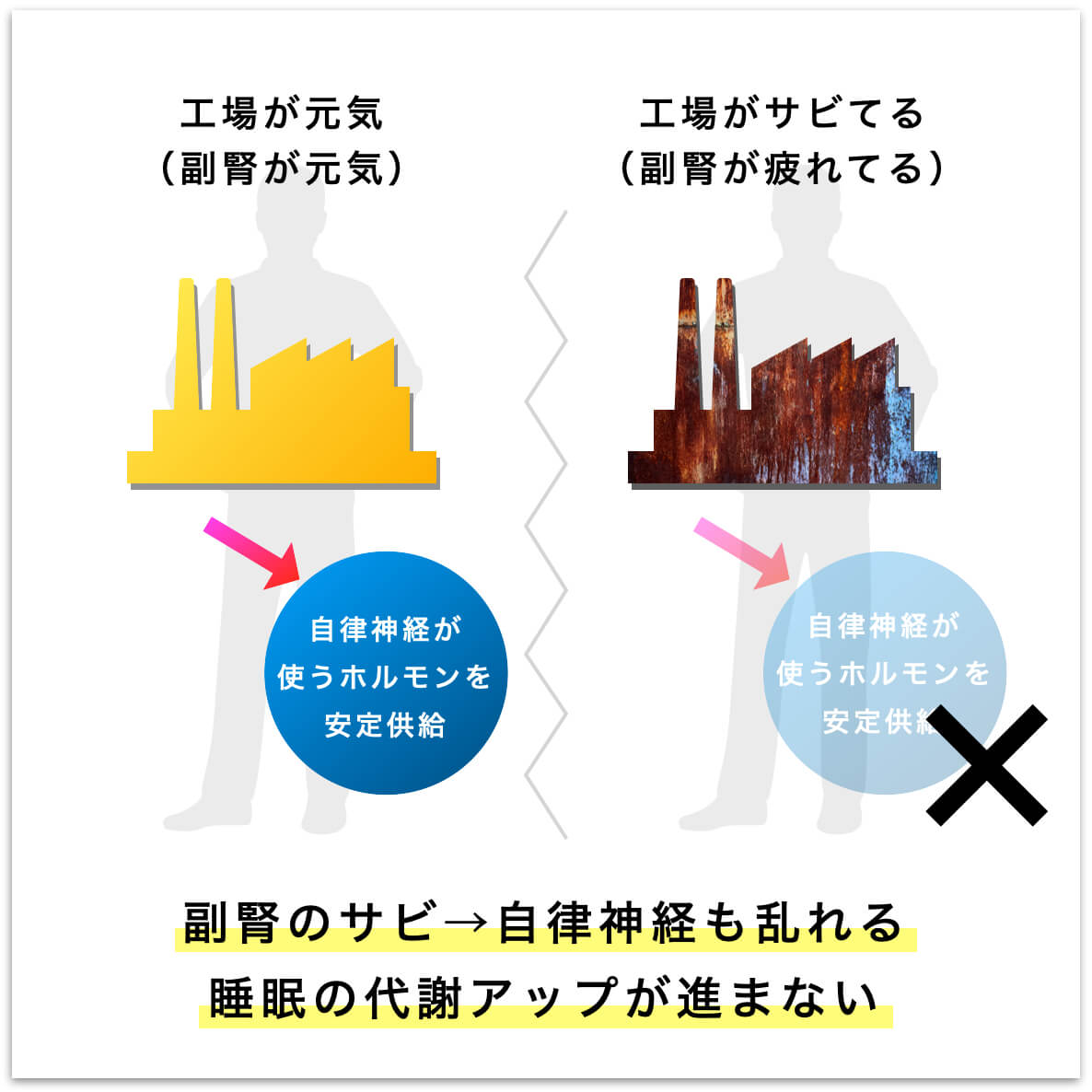 副腎疲労になると自律神経も乱れる