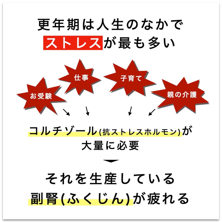更年期はストレス増でコルチゾールが必要＝副腎が疲れる