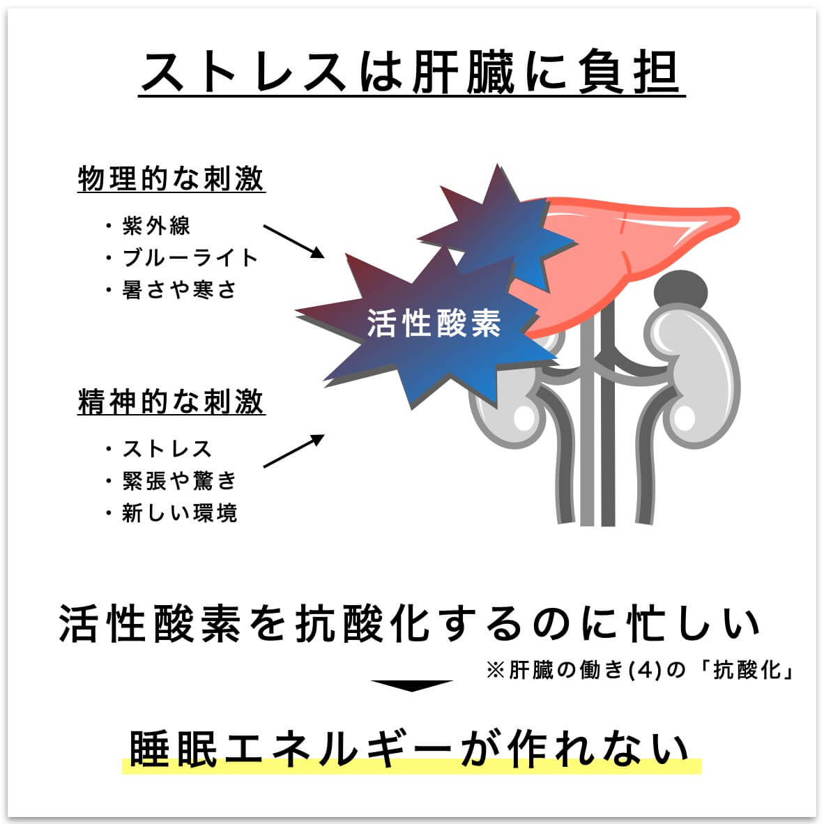 ストレスが肝臓に負担をかけて睡眠エネルギーが作れない