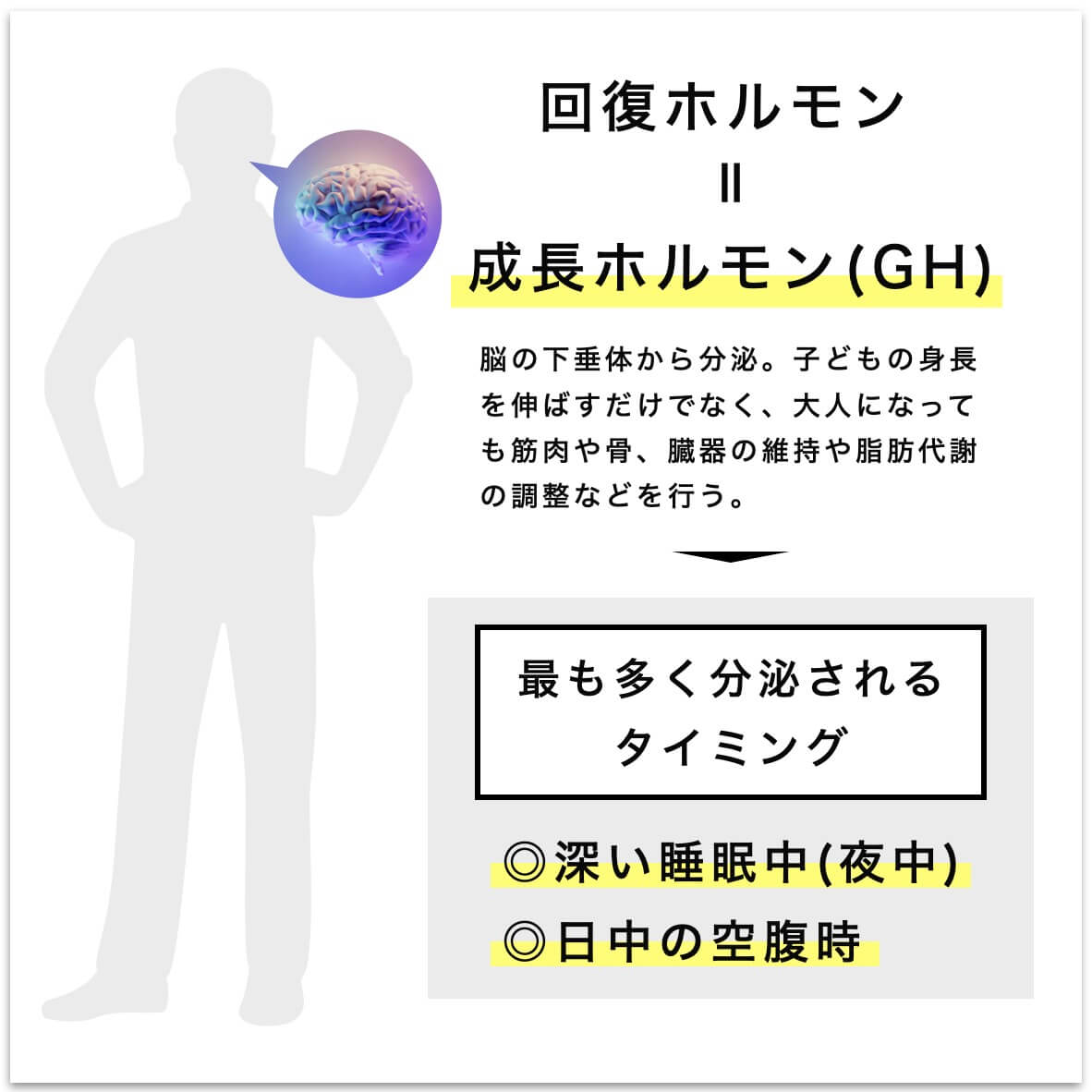 回復ホルモンが分泌されるタイミング
