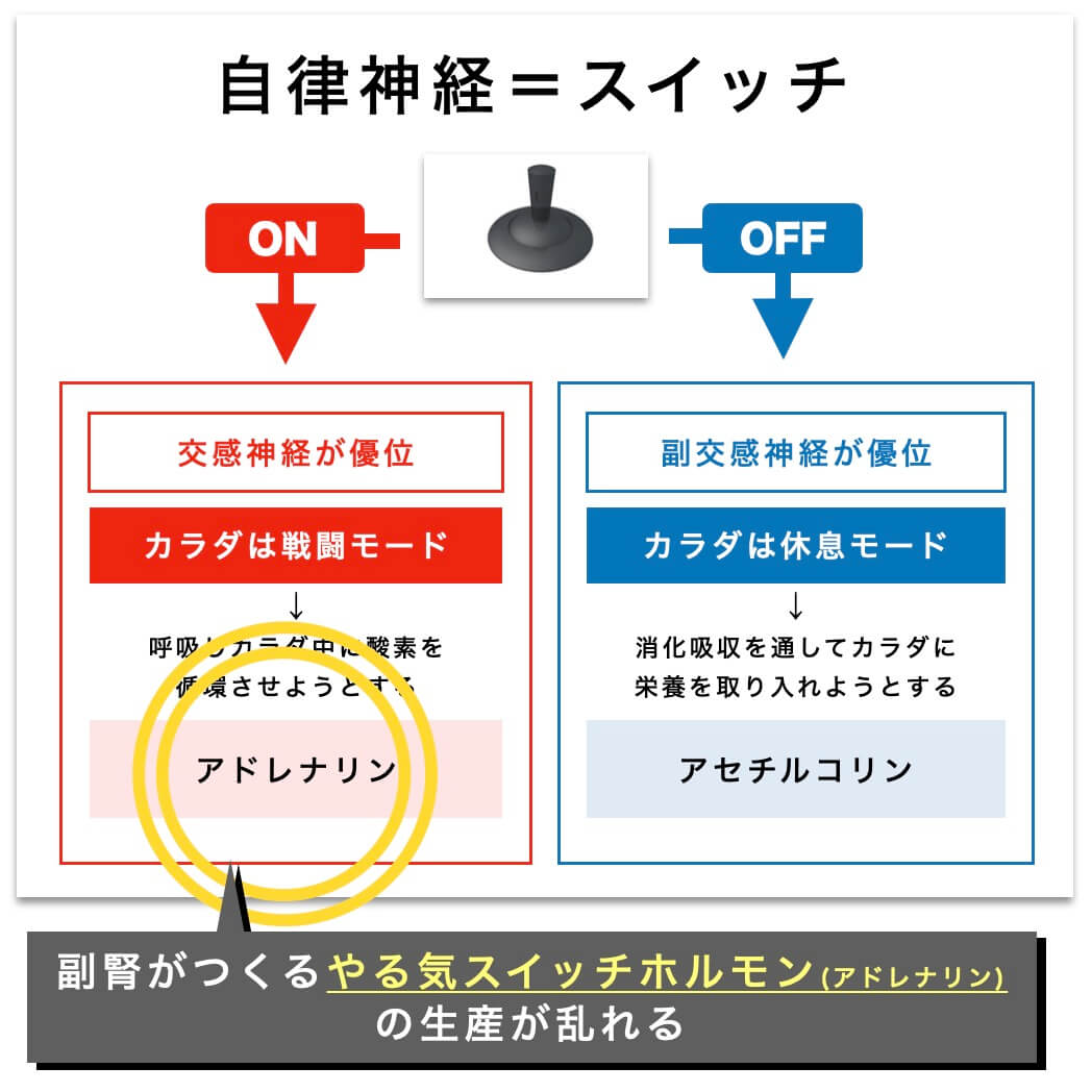 自律神経について説明した図