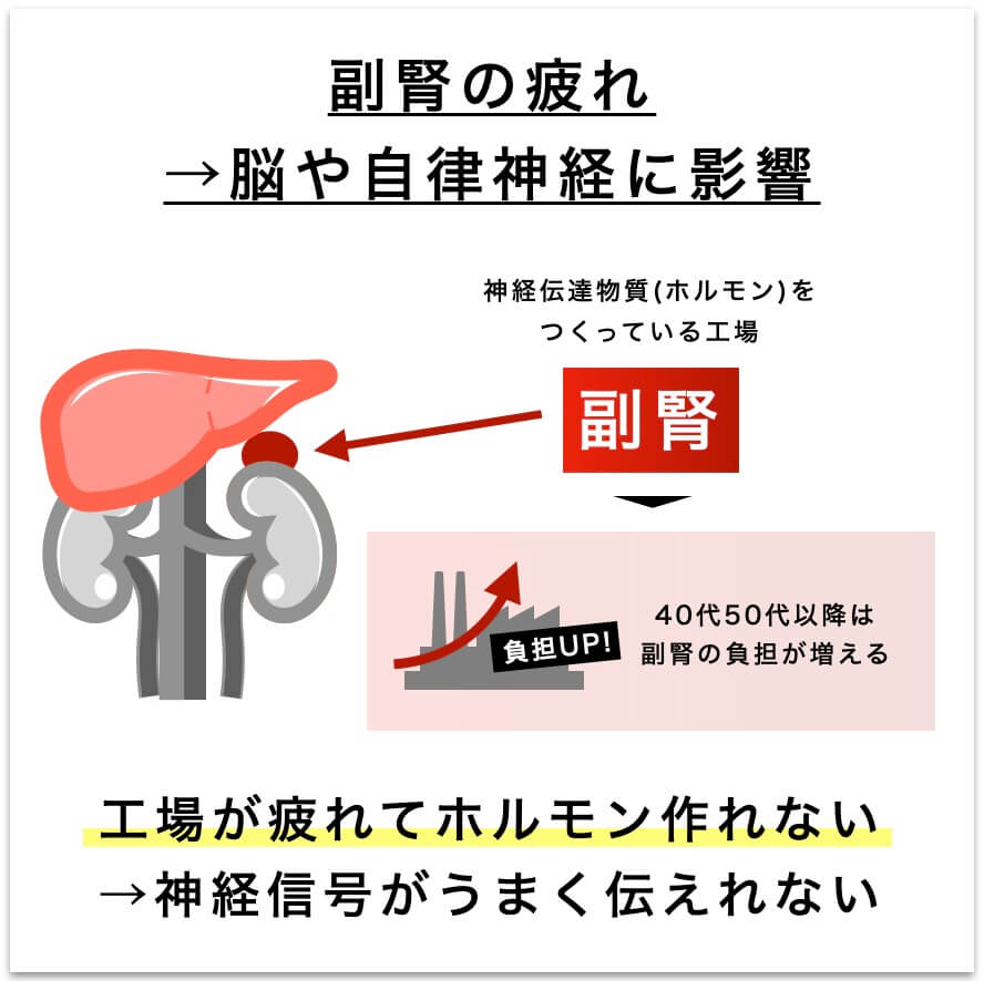 “副腎が疲れてホルモンが作れないことを表す図”