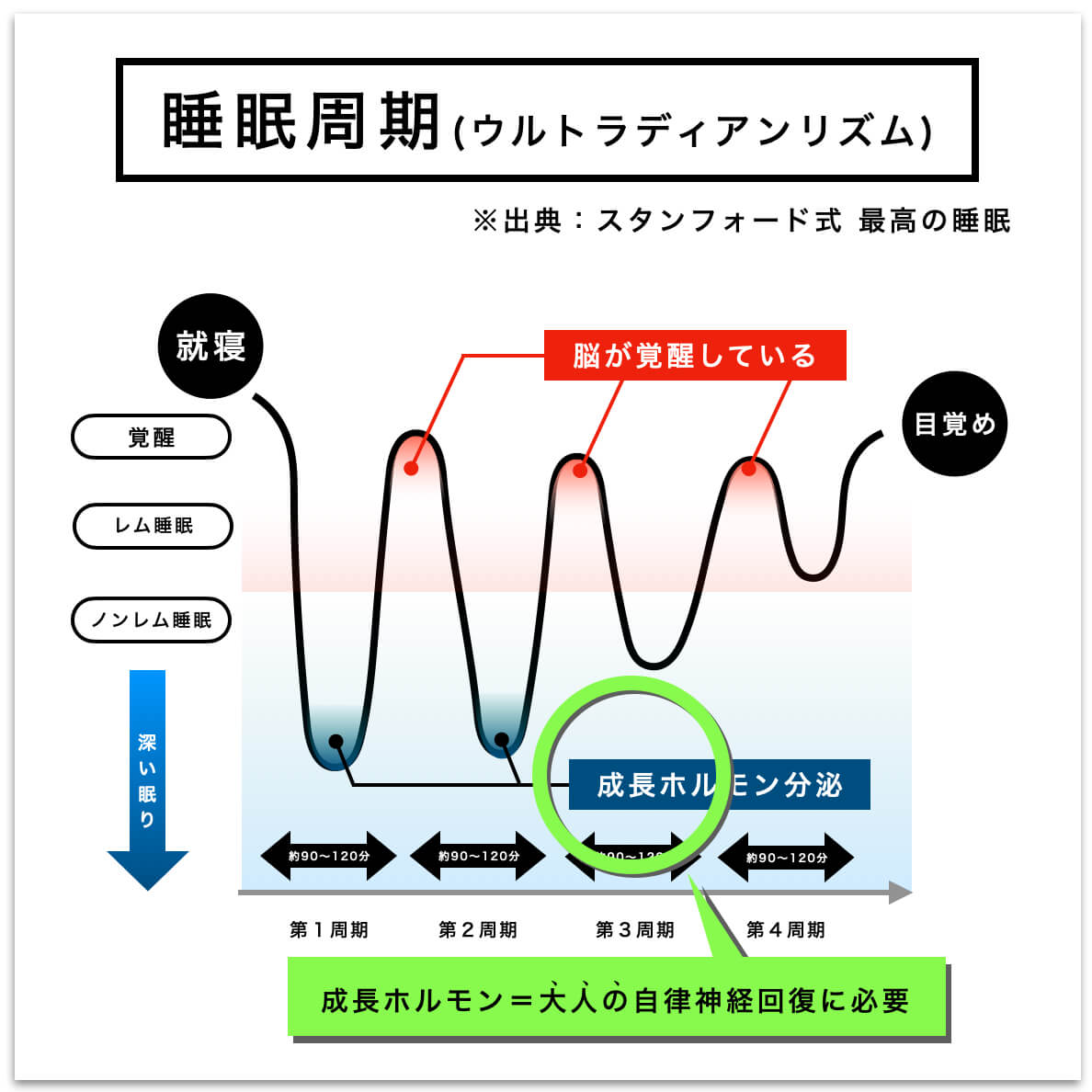 更年期にも成長ホルモンが重要