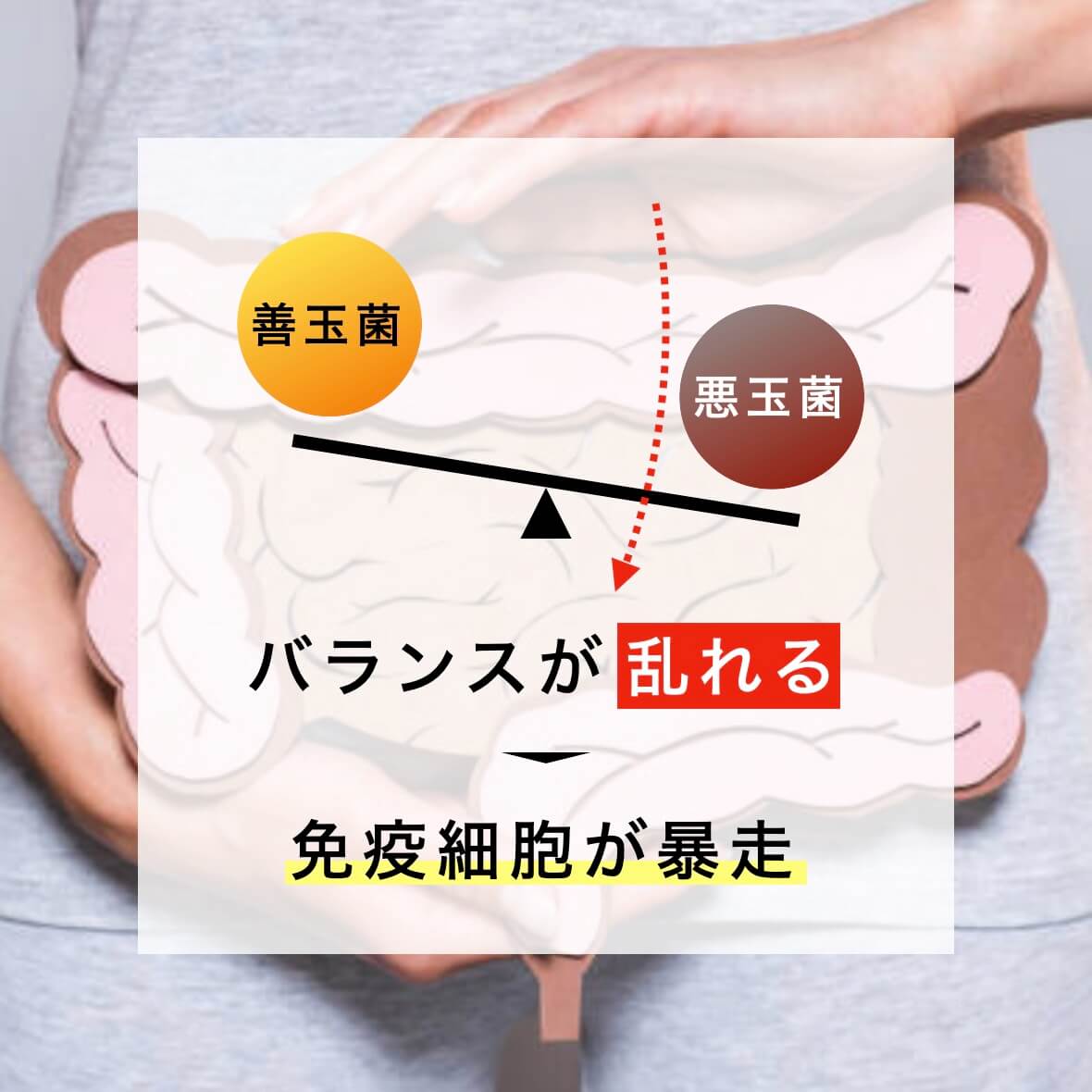 善玉菌と悪玉菌のバランスが崩れている