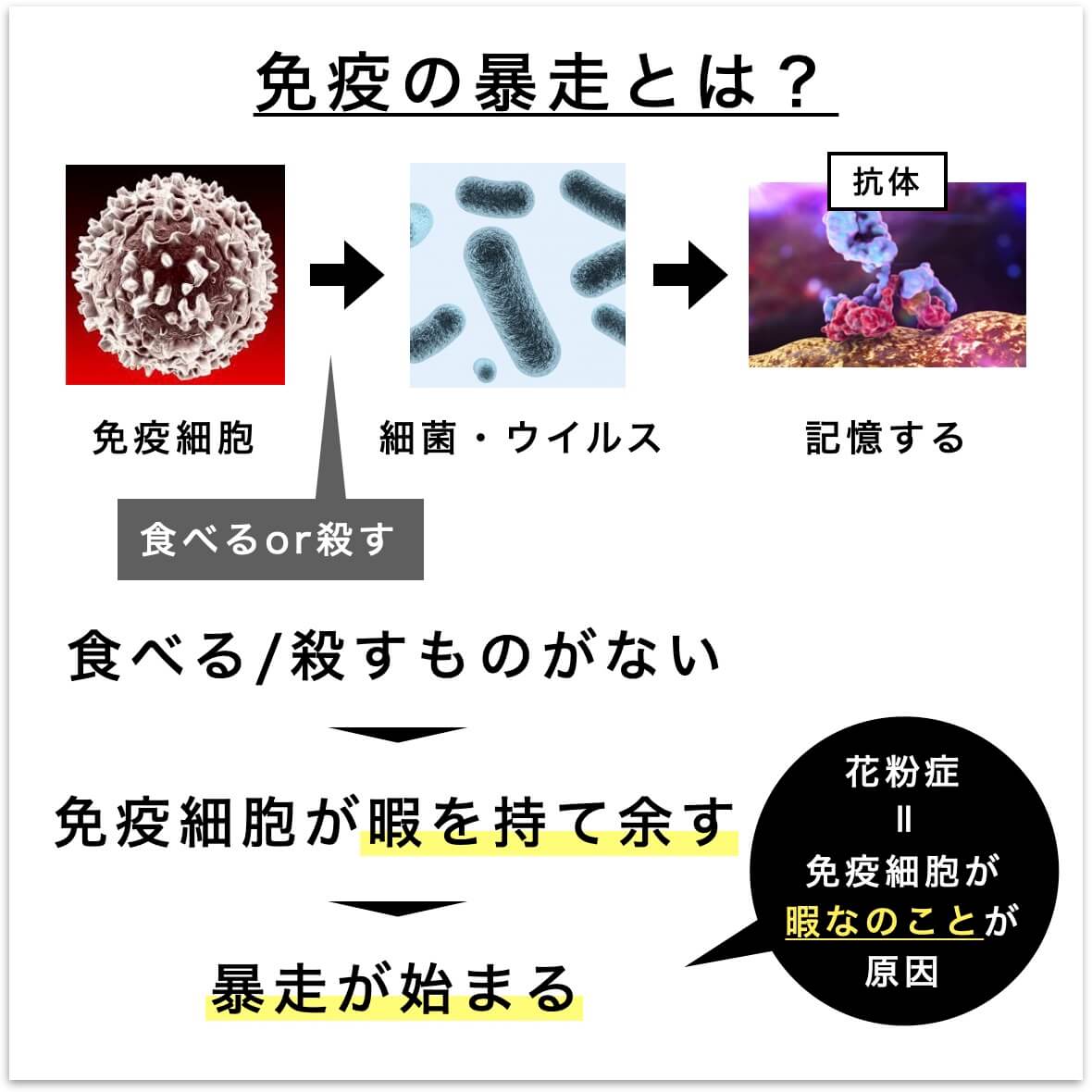 免疫の暴走とは