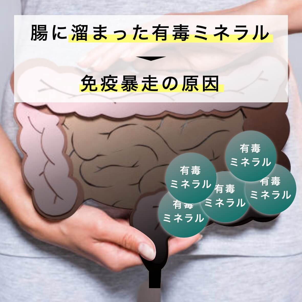 腸にたまった有毒ミネラルについて