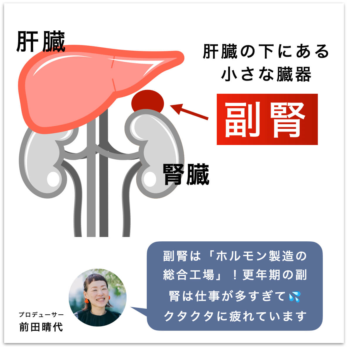 更年期になると副腎がつかれやすい