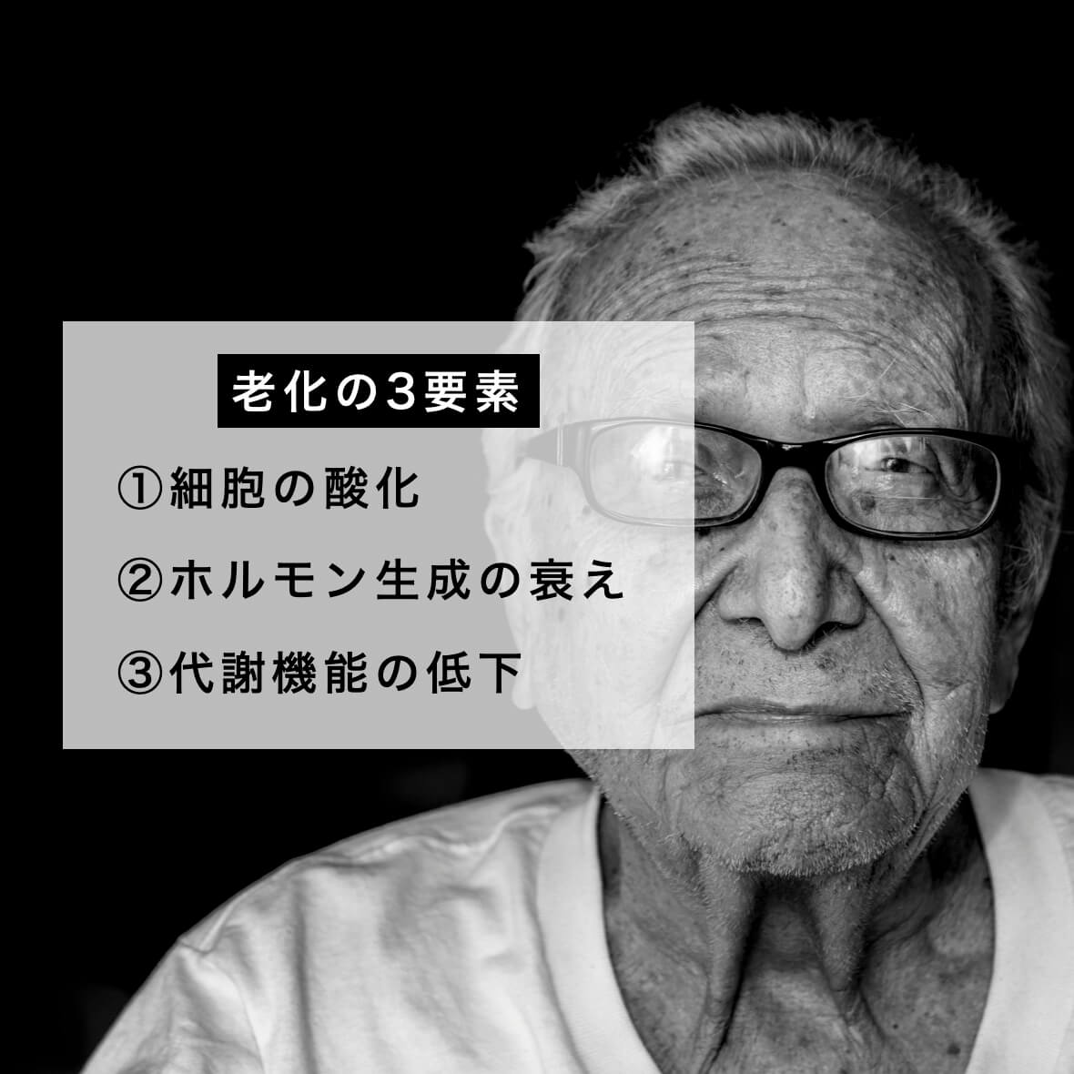 老化の３要素