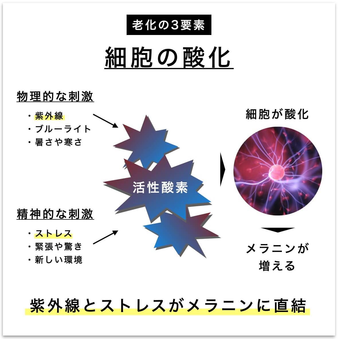 紫外線とストレスがメラニンに直結する図