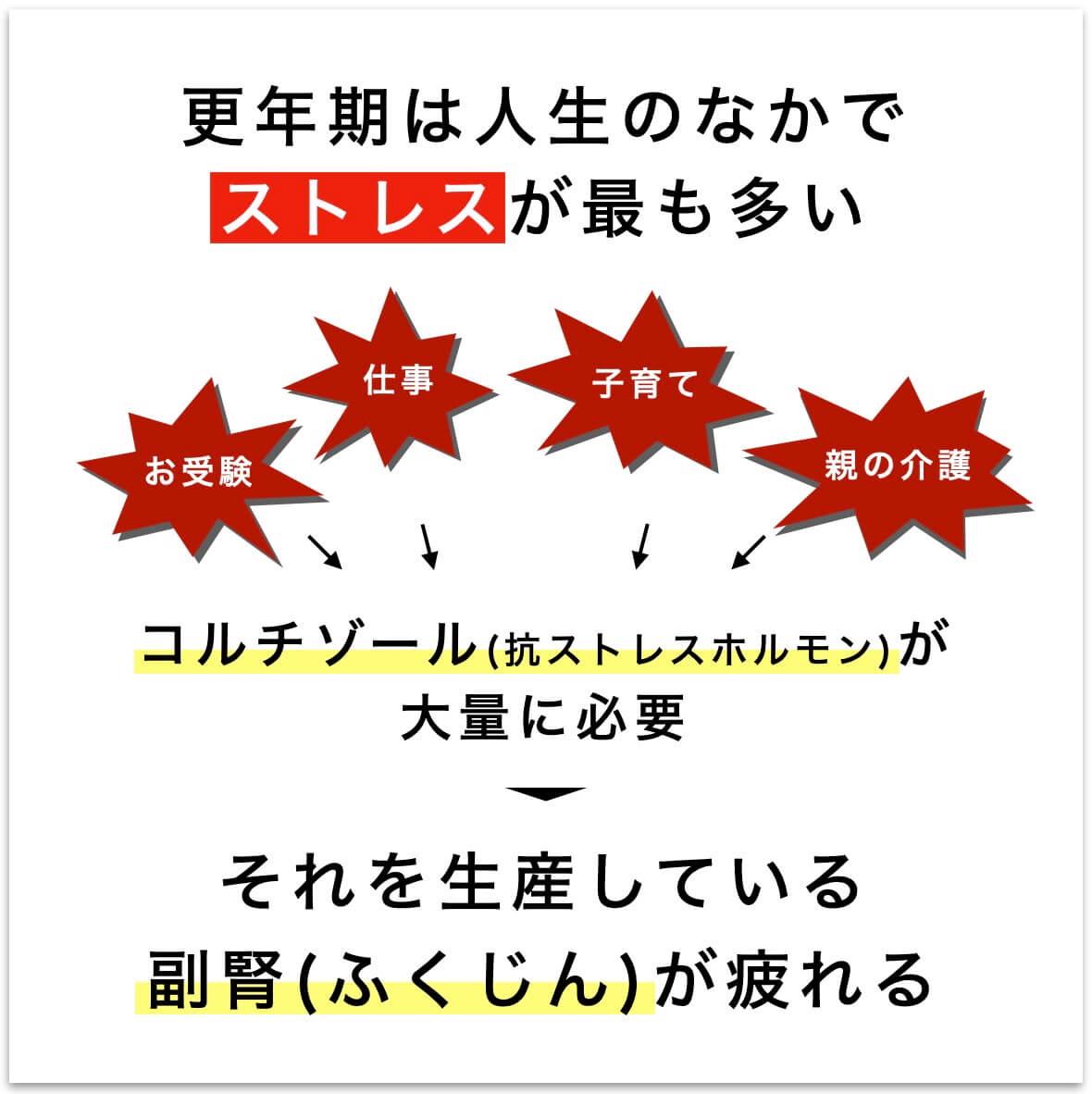 更年期はストレスが多くコルチゾールを大量生産