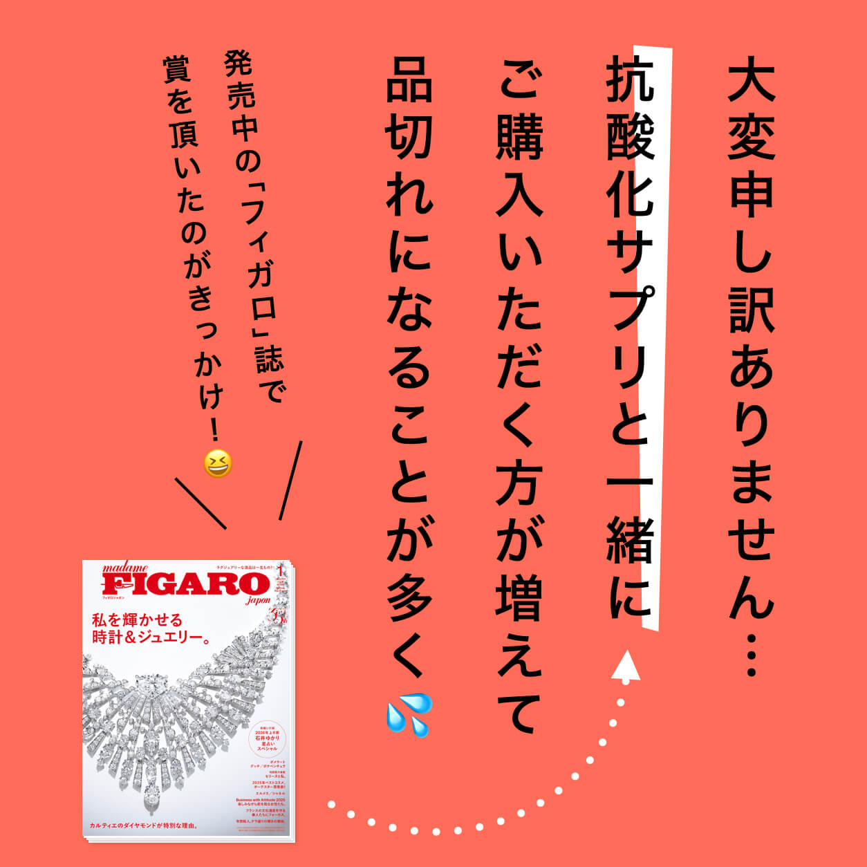 大人気のヘム鉄サプリればーのかわり