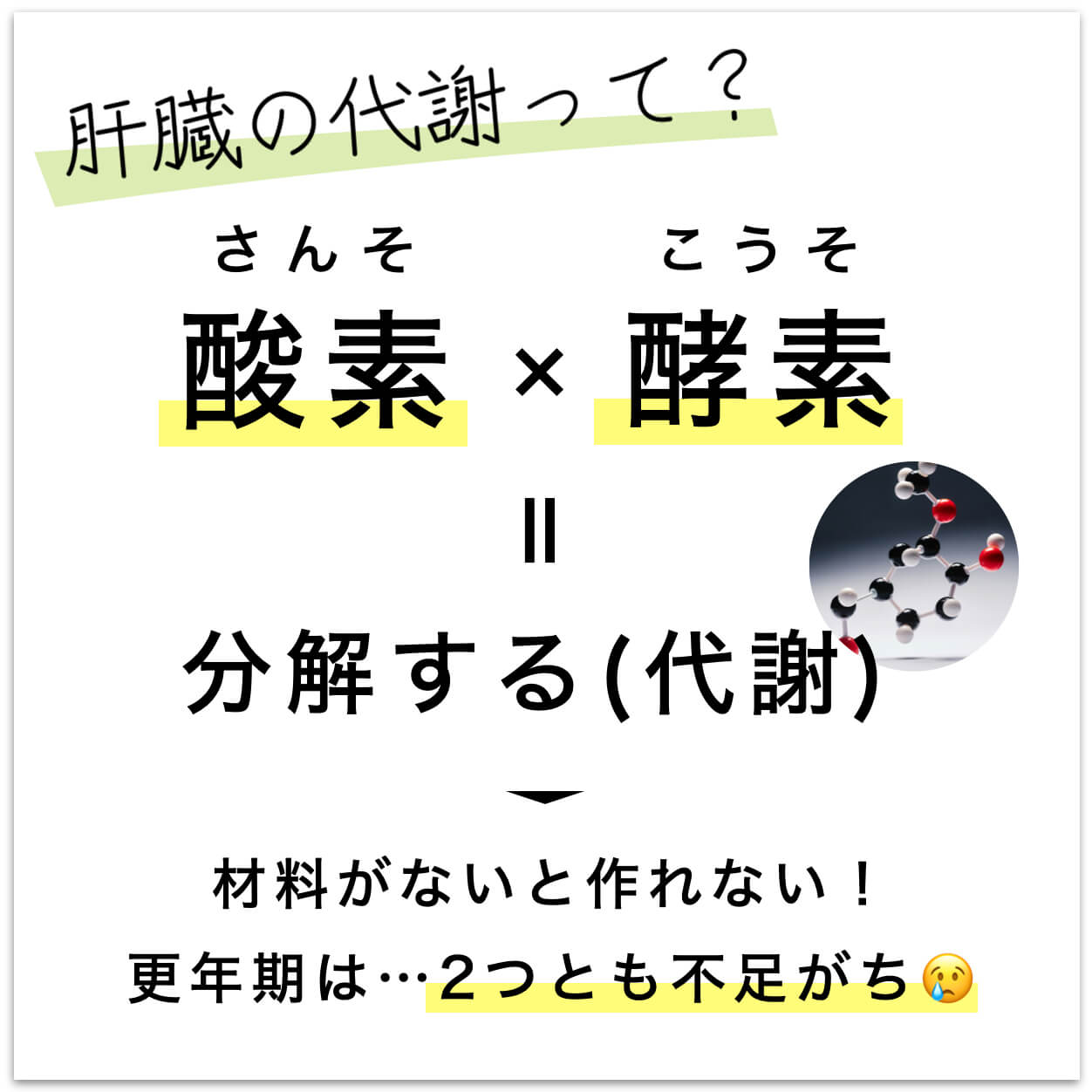カラダは酸素と酵素で代謝を行う