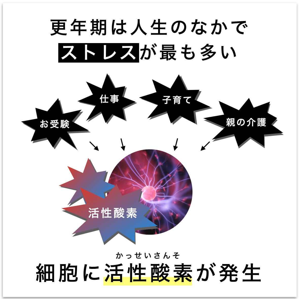 ストレスで細胞に活性酸素が発生する図