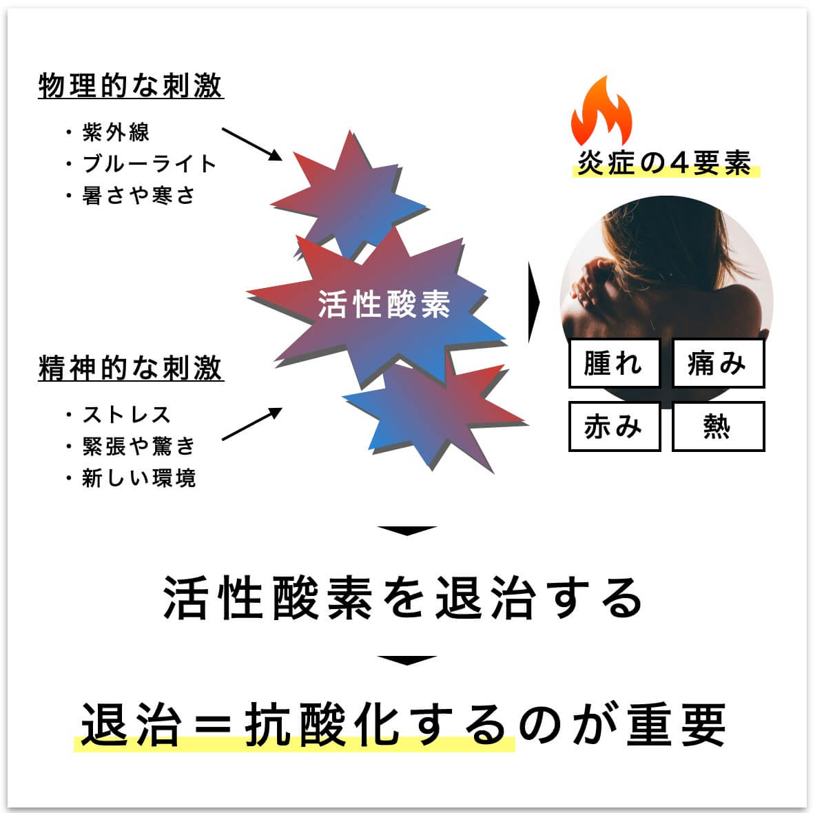 活性酸素の退治つまり抗酸化することが重要