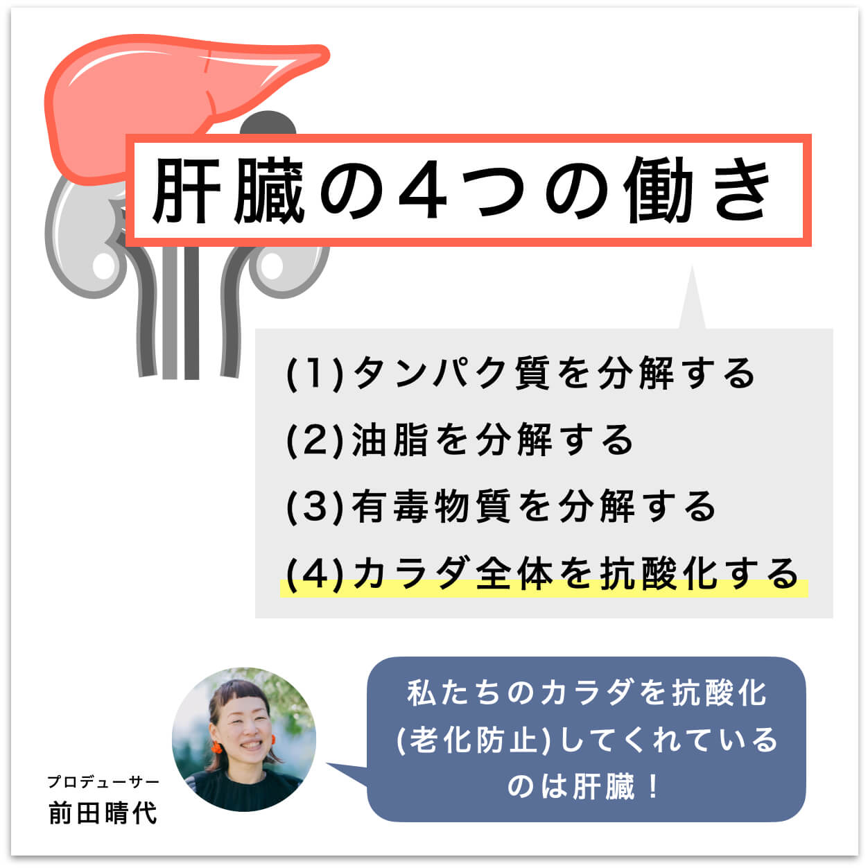 肝臓の4つの働きを説明