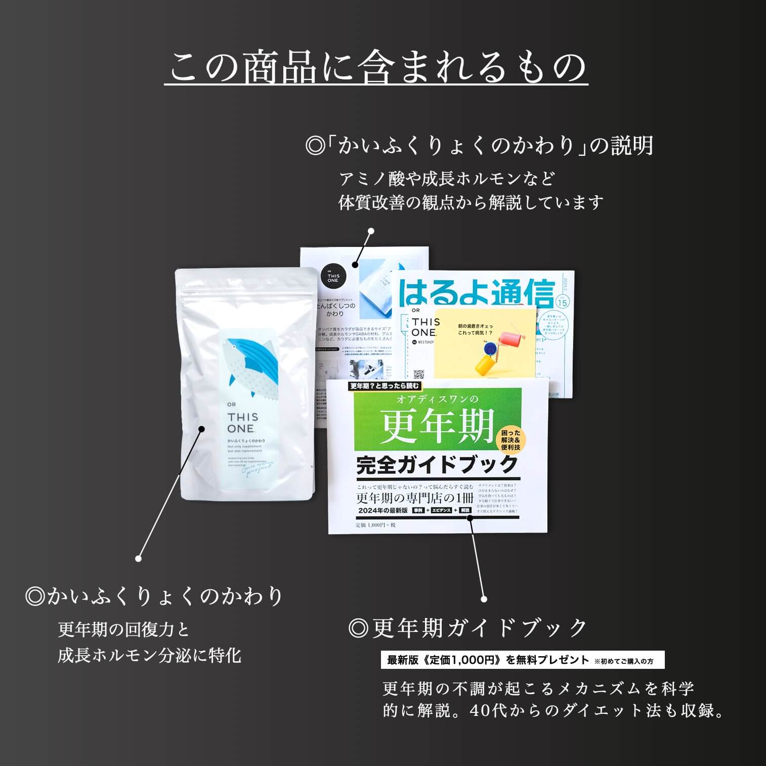 更年期専門店オアディスワンのサプリ「かいふくりょくのかわり」を購入したら届く商品一覧