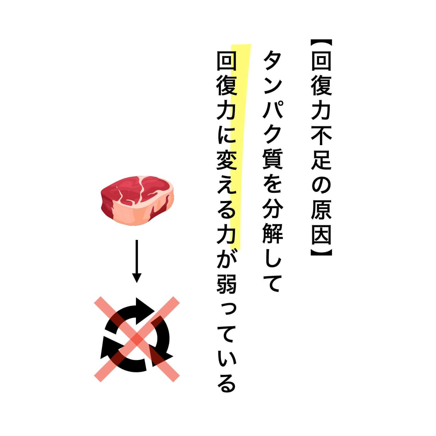 タンパク質を分解するのがなぜ必要なのか図解している