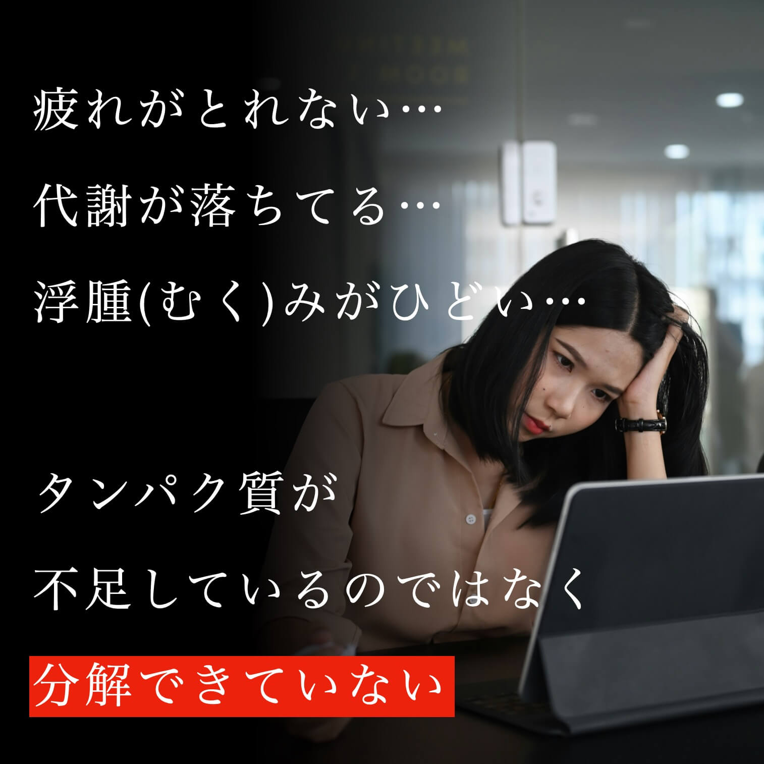 タンパク質は分解が重要