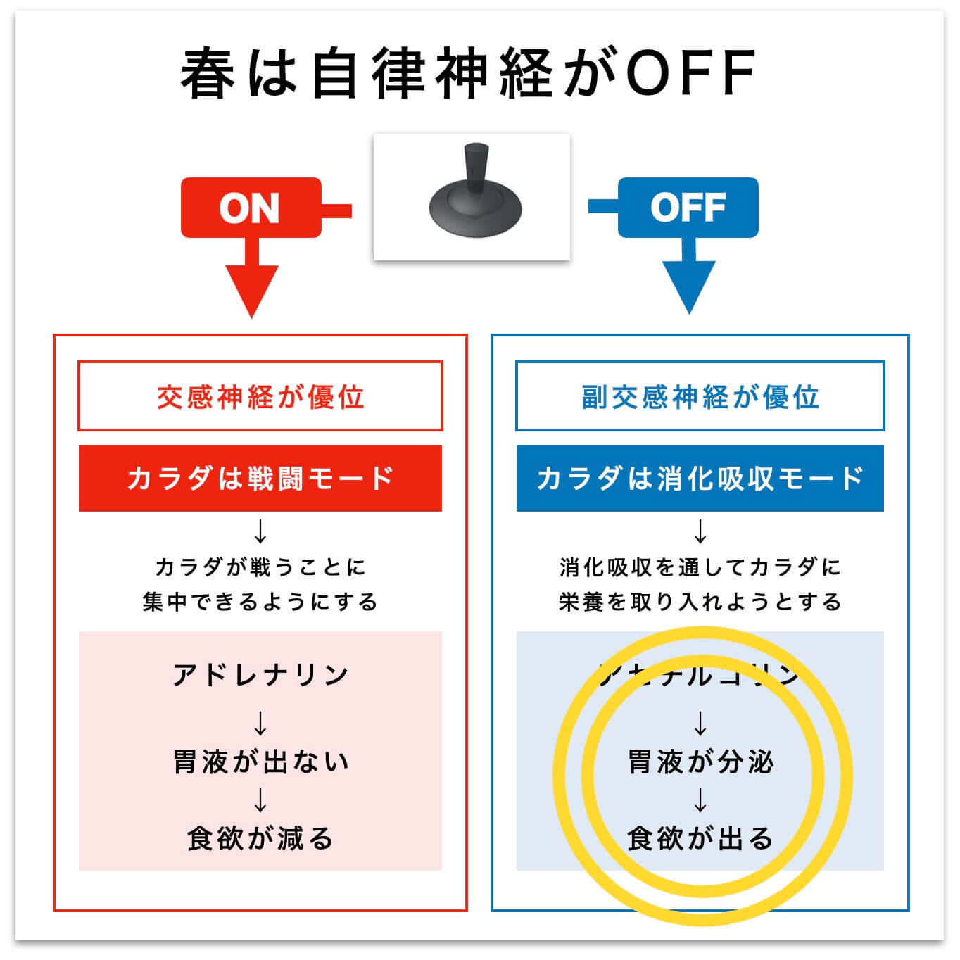 春は自律神経がオフになっている